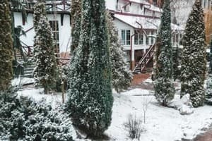 Здибанка 19